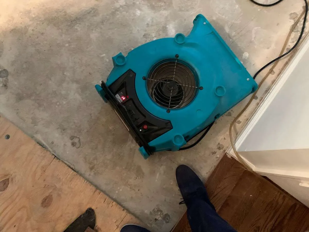 Air mover drying subfloor during Commercial Water Damage Restoration in Chevy Chase